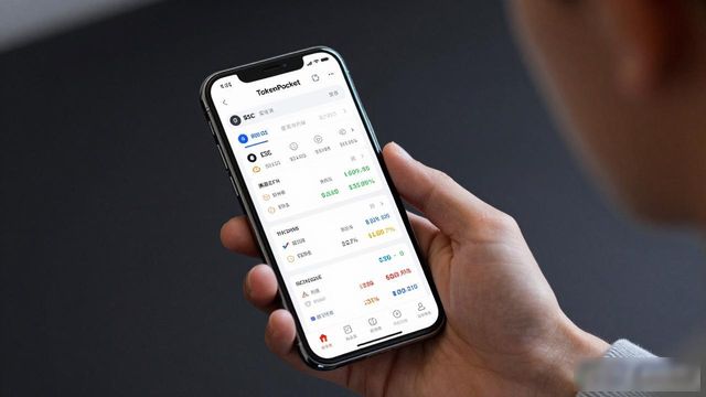 网站的实用性_网站投资的收益主要来源于_用户经验总结：tokenpocket官方网站在投资管理中的实际作用！